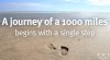 a journey of a thousand-miles.jpg