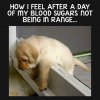 FB_IMG_1521968589465.jpg
