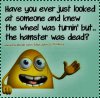 FB_IMG_1517525998721.jpg