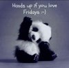 FB_IMG_1524200223598.jpg