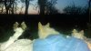 20180419_211652_resized.jpg