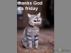 FB_IMG_1502470027679.jpg