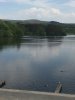 IMG_1526921405.293050.jpg