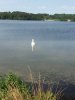 IMG_1526921450.732437.jpg