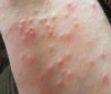 20180604_110105.jpg