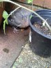 20180613_172343_resized.jpg