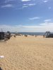 IMG_1529132611.382977.jpg