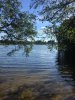IMG_1529695550.205151.jpg