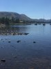 IMG_1530638144.700468.jpg