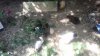 20180707_141124_resized.jpg