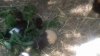 20180707_141128_resized.jpg