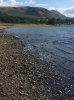 IMG_1531152736.655332.jpg