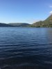 IMG_1531152806.831371.jpg