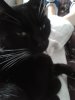20171017_093622.jpg