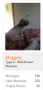 profile1.PNG