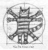 80ef66105711776a5861689369a44ce9--cat-illustrations-kitty-cats.jpg