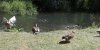 20180806_132320-1_resized.jpg