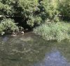 20180806_142034-1_resized.jpg