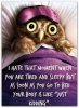 FB_IMG_1537554323342.jpg