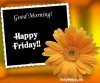 FB_IMG_1538112117527.jpg
