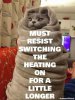 FB_IMG_1538633691320.jpg