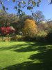 IMG_1539207649.778812.jpg