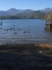 IMG_1539207696.027808.jpg