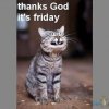 FB_IMG_1538210776359.jpg