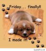 FB_IMG_1538112163022.jpg