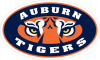 upload_2018-10-31_10-33-20.png