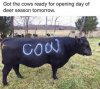 0B8B38EF-6B6D-42D1-8EDB-980A8F4131E8.jpeg