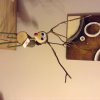 reindeer 1.jpg