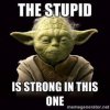 the stupid.jpg