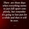 FB_IMG_1544265327724.jpg