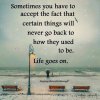 FB_IMG_1544026502351.jpg