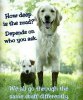 FB_IMG_1544025707371.jpg