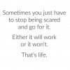 FB_IMG_1544814016984.jpg