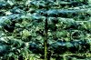 AE67DA52-026A-4B94-959D-D513CC72DA99.jpeg