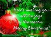 FB_IMG_1545592006956.jpg