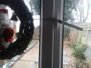20181228_112916_resized.jpg