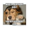 happy bday.jpg