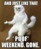 FB_IMG_1540837494852.jpg