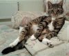 thumbnail_20190128_190953.jpg