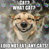 CC8DF50A-D759-4997-A0FC-19462786BEDD.jpeg