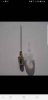 Screenshot_20190131-090605_Facebook.jpg