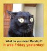 FB_IMG_1549122794533.jpg