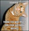 Aww thanks.jpg