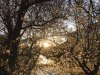 12215D01-E1CC-4743-8035-C1207A324CF4.jpeg