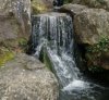 DSC_0020.JPG