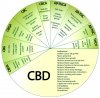 CBDQualitiesfullspectrum.jpg